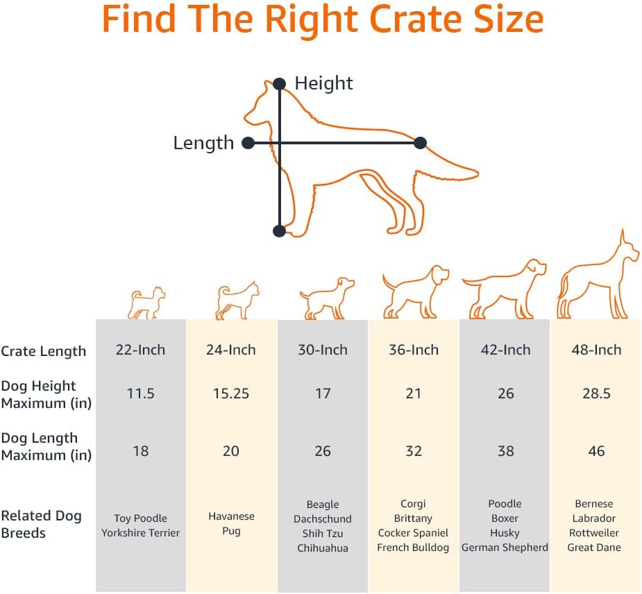 Amazon Basics Dog Crate Review